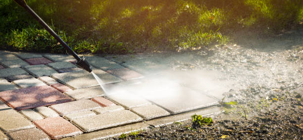 Solar Panel Cleaning in Braidwood, IL